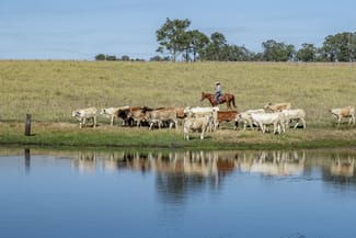 Rural / Farming commercial property for sale at 400 Rickertt Road Johnstown QLD 4615