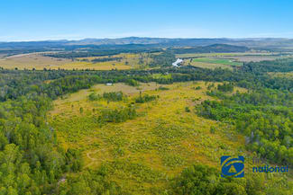 Rural / Farming commercial property for sale at Lot 3 10314 Clarence Way Louisa Creek NSW 2469 Rural / Farming commercial property for sale at Lot 3 10314 Clarence Way Louisa Creek NSW 2469