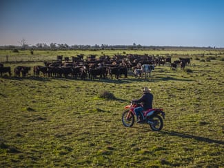 Rural / Farming commercial property for sale at Sandy Camp Road Quambone NSW 2831