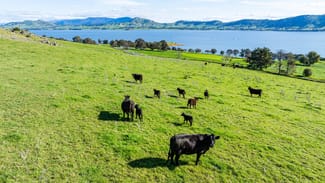 Rural / Farming commercial property for sale at 1080 Lake Road Bethanga VIC 3691