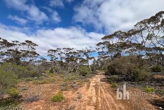 Rural / Farming commercial property for sale at 761 Mallee Acres Rd Fisher SA 5354 Rural / Farming commercial property for sale at 761 Mallee Acres Rd Fisher SA 5354