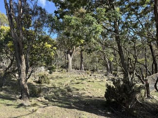 Rural / Farming commercial property for sale at PID 6833089 Tunbridge Tier Road Interlaken TAS 7030