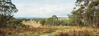 Rural / Farming commercial property for sale at 6358 Mount Lindesay Road Wylie Creek NSW 2372 Rural / Farming commercial property for sale at 6358 Mount Lindesay Road Wylie Creek NSW 2372
