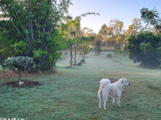 Rural / Farming commercial property for sale at 401 Ferry Road Rosedale QLD 4674