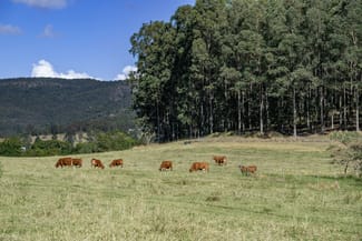 Rural / Farming commercial property for sale at 0 Spiller Road Moy Pocket QLD 4574 Rural / Farming commercial property for sale at 0 Spiller Road Moy Pocket QLD 4574
