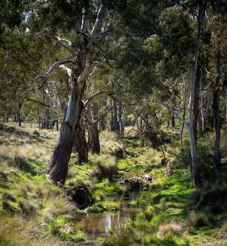 Rural / Farming commercial property for sale at 1718 Ophir Road Orange NSW 2800