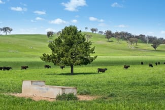 Rural / Farming commercial property for sale at 593 Belgravia Road Belgravia NSW 2800 Rural / Farming commercial property for sale at 593 Belgravia Road Belgravia NSW 2800