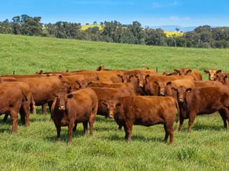 Rural / Farming commercial property for sale at 'Burley' 8394 Mid Western Highway Woodstock NSW 2793