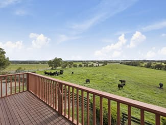 Rural / Farming commercial property for sale at 25 Collins Road Irrewarra VIC 3249