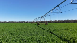 Rural / Farming commercial property for sale at Tiagarra, 339 New Grenfell Road Forbes NSW 2871