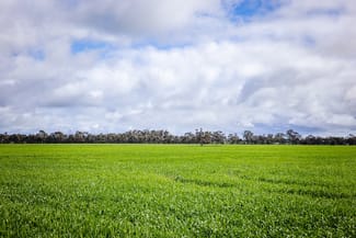 Rural / Farming commercial property for sale at 210 Cumings Road Peronne VIC 3413