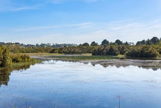 Rural / Farming commercial property for sale at 3350 Frankston Flinders Road Balnarring VIC 3926 Rural / Farming commercial property for sale at 3350 Frankston Flinders Road Balnarring VIC 3926