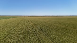 Rural / Farming commercial property for sale at 'Pine Hill' Noyces Road Clements Gap SA 5523 Rural / Farming commercial property for sale at 'Pine Hill' Noyces Road Clements Gap SA 5523