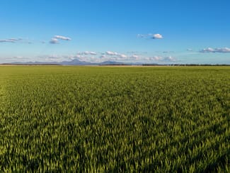 Rural / Farming commercial property for sale at TREVENA/445 Trevena Lane Bellata NSW 2397