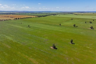 Rural / Farming commercial property for sale at 584 Willows Road Ardlethan NSW 2665