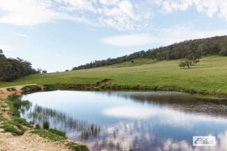 Rural / Farming commercial property for sale at 338 Boundary Road Newham VIC 3442