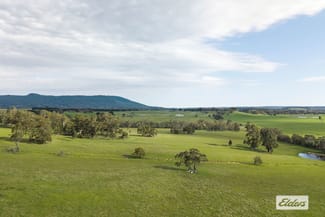 Rural / Farming commercial property for sale at 338 Boundary Road Newham VIC 3442 Rural / Farming commercial property for sale at 338 Boundary Road Newham VIC 3442