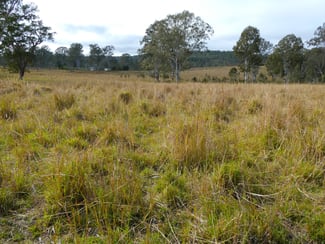 Rural / Farming commercial property for sale at 70 Bairds Road Bonalbo NSW 2469 Rural / Farming commercial property for sale at 70 Bairds Road Bonalbo NSW 2469