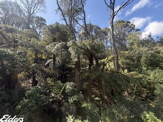 Rural / Farming commercial property for sale at 54D Kennedys Road Madalya VIC 3971 Rural / Farming commercial property for sale at 54D Kennedys Road Madalya VIC 3971