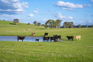 Rural / Farming commercial property for sale at 680 Fish River Road NARRAWA VIA Crookwell NSW 2583