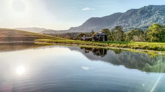 Rural / Farming commercial property for sale at Bellingen NSW 2454 Rural / Farming commercial property for sale at Bellingen NSW 2454