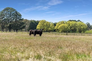 Rural / Farming commercial property for sale at 545 Willowmavin Road Willowmavin VIC 3764 Rural / Farming commercial property for sale at 545 Willowmavin Road Willowmavin VIC 3764