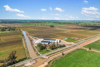 Rural / Farming commercial property for sale at 139 Chapel Road Cobram East VIC 3644