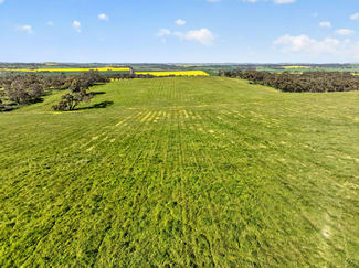 Rural / Farming commercial property for sale at 'Woolshed' Kelly Road Undalya SA 5451