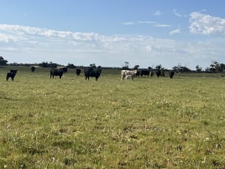 Rural / Farming commercial property for sale at Allotment 2 Pink Road Field SA 5265