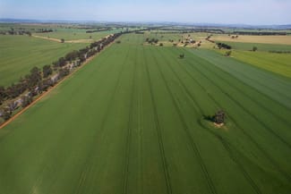 Rural / Farming commercial property for sale at 0 Marrar South Road Yathella NSW 2650 Rural / Farming commercial property for sale at 0 Marrar South Road Yathella NSW 2650