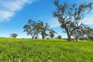 Rural / Farming commercial property for sale at 9091 Mitchell Highway Wellington NSW 2820