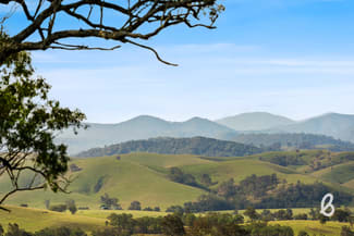 Rural / Farming commercial property for sale at 407 Goorangoola Road Singleton NSW 2330