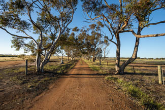 Rural / Farming commercial property for sale at 5566 Tieline Road Gnowangerup WA 6335 Rural / Farming commercial property for sale at 5566 Tieline Road Gnowangerup WA 6335
