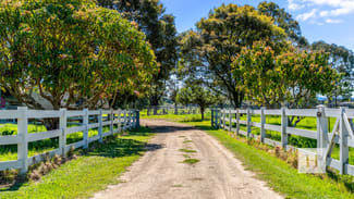 Rural / Farming commercial property for sale at 50 Newtons Road Dumaresq Island NSW 2430 Rural / Farming commercial property for sale at 50 Newtons Road Dumaresq Island NSW 2430
