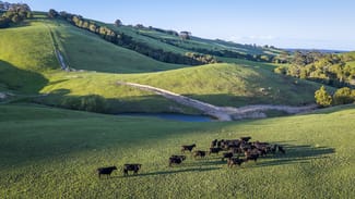 Rural / Farming commercial property for sale at 422 O'Gradys Ridge Road Foster North VIC 3960 Rural / Farming commercial property for sale at 422 O'Gradys Ridge Road Foster North VIC 3960