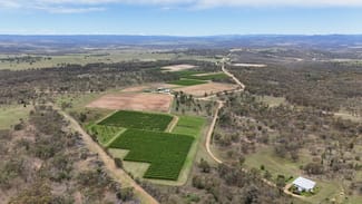 Rural / Farming commercial property for sale at 831 Stanthorpe-Inglewood Road Pikedale QLD 4380 Rural / Farming commercial property for sale at 831 Stanthorpe-Inglewood Road Pikedale QLD 4380