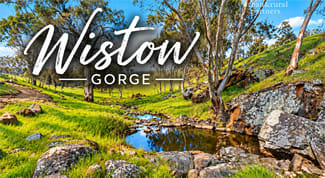 Rural / Farming commercial property for sale at Lot 6 Wiles Firetrack Wistow SA 5251 Rural / Farming commercial property for sale at Lot 6 Wiles Firetrack Wistow SA 5251