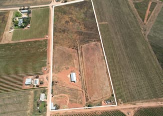 Rural / Farming commercial property for sale at 60 Forward Avenue Loveday SA 5345