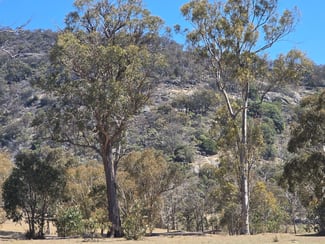 Rural / Farming commercial property for sale at Lot 139 Kiernans Road. Bolivia Tenterfield NSW 2372 Rural / Farming commercial property for sale at Lot 139 Kiernans Road. Bolivia Tenterfield NSW 2372