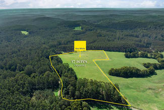 Rural / Farming commercial property for sale at 60 Harveys Track Beech Forest VIC 3237 Rural / Farming commercial property for sale at 60 Harveys Track Beech Forest VIC 3237