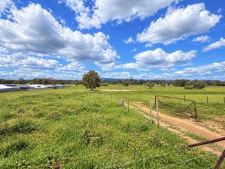 Rural / Farming commercial property for sale at 62 Table Top Road Thurgoona NSW 2640
