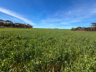 Rural / Farming commercial property for sale at Lot 44 Birdseye Highway Murlong SA 5642
