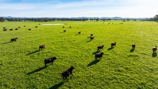 Rural / Farming commercial property for sale at 1/ Simpsons Lane Moyhu VIC 3732