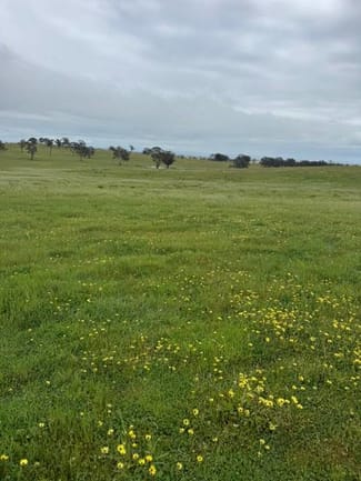 Rural / Farming commercial property for sale at 0 Wallace Road Kanya VIC 3387