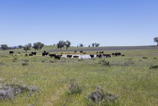 Rural / Farming commercial property for sale at 3 Gooloogong Siding Road Gooloogong NSW 2805 Rural / Farming commercial property for sale at 3 Gooloogong Siding Road Gooloogong NSW 2805