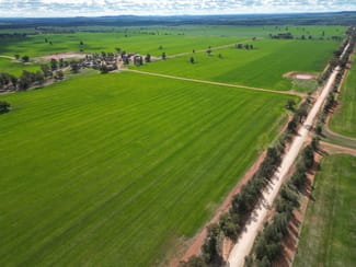 Rural / Farming commercial property for sale at 1100 Jillett Road Ardlethan NSW 2665 Rural / Farming commercial property for sale at 1100 Jillett Road Ardlethan NSW 2665