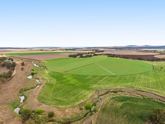 Rural / Farming commercial property for sale at 1635 Clifton Leyburn Road Ellangowan QLD 4361 Rural / Farming commercial property for sale at 1635 Clifton Leyburn Road Ellangowan QLD 4361