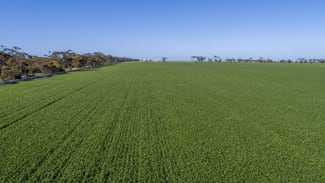 Rural / Farming commercial property for sale at 'Rudds' Allotment 81 Ardrossan Road Maitland SA 5573