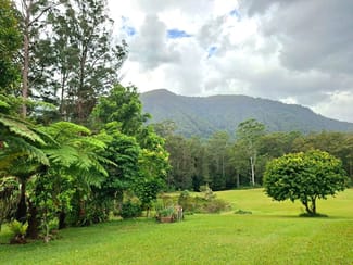 Rural / Farming commercial property for sale at Nimbin NSW 2480