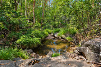 Rural / Farming commercial property for sale at 47/ Hogarth Range Road Hogarth Range NSW 2469
